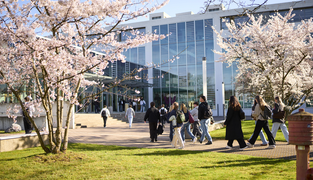 Phase zwischen Genie und Schalk startet