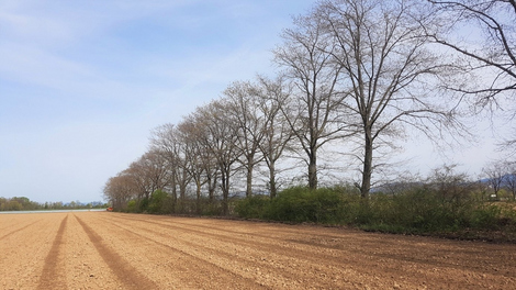 Bild einer landwirtschaftlichen Fläche