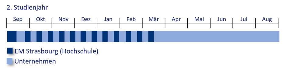 Studienverlauf im 2.Jahr
