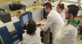 Auswertung von Analysen im Labor Umweltanalytik