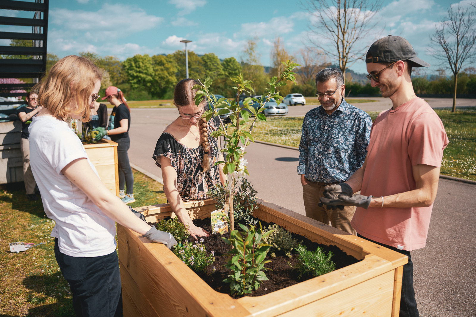 Zwei junge Frauen und zwei junge Männer legen letzte Hand und betrachten das bepflanzte Hochbeet