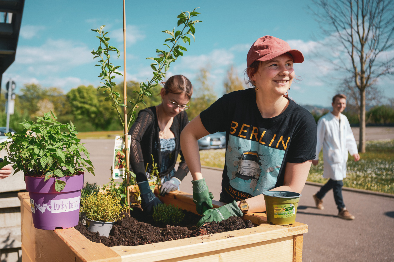 Zwei Frauen pflanzen etwas in die Hochbeet