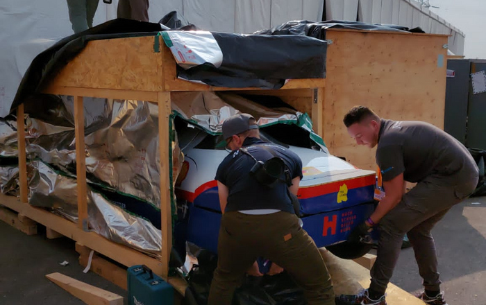 Teammitglieder holen Schluckspecht aus Transportkiste