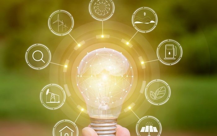 Hand hält Glühbirne vor waldigen Hintergrund 