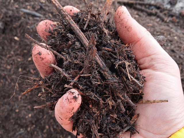 Reallabor positive Klimabilanz in (kommunalen) Betrieben