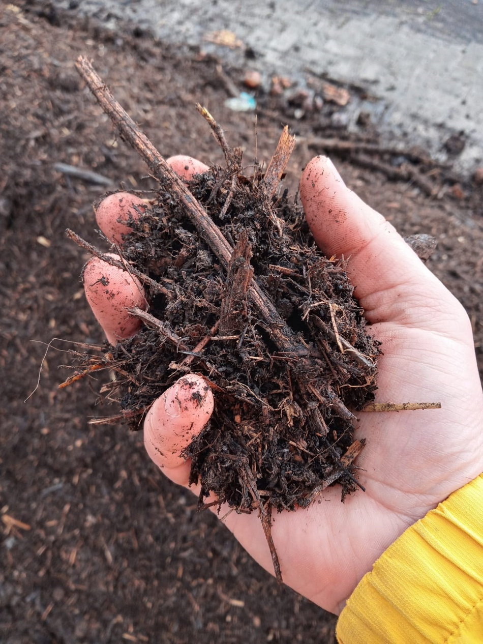 Hand hält Nährhumus über Ackerboden