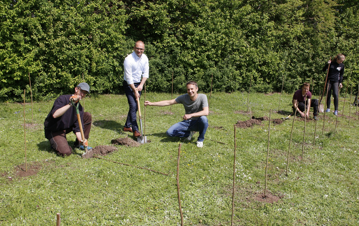 Christopher Morhart, Assistent am Lehrstuhl für Waldwachstum und Dendroökologie der Albert-Ludwigs-Universität Freiburg, sowie von der Hochschule Offenburg Kanzler Bülent Tarkan, der Nachhaltigkeitsbeauftragte Prof. Dr. Daniel Kray, Doktorand Jannis Grafmüller und die Medizintechnik-Studentin Elisa Weber pflanzen Bäume