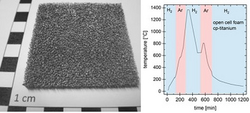 Fertigung von hochporösen Knochenersatzstrukturen aus Titan für kranioplastische Implantate