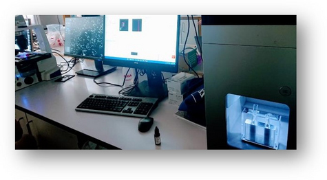 Labor Zellkulturtechnik