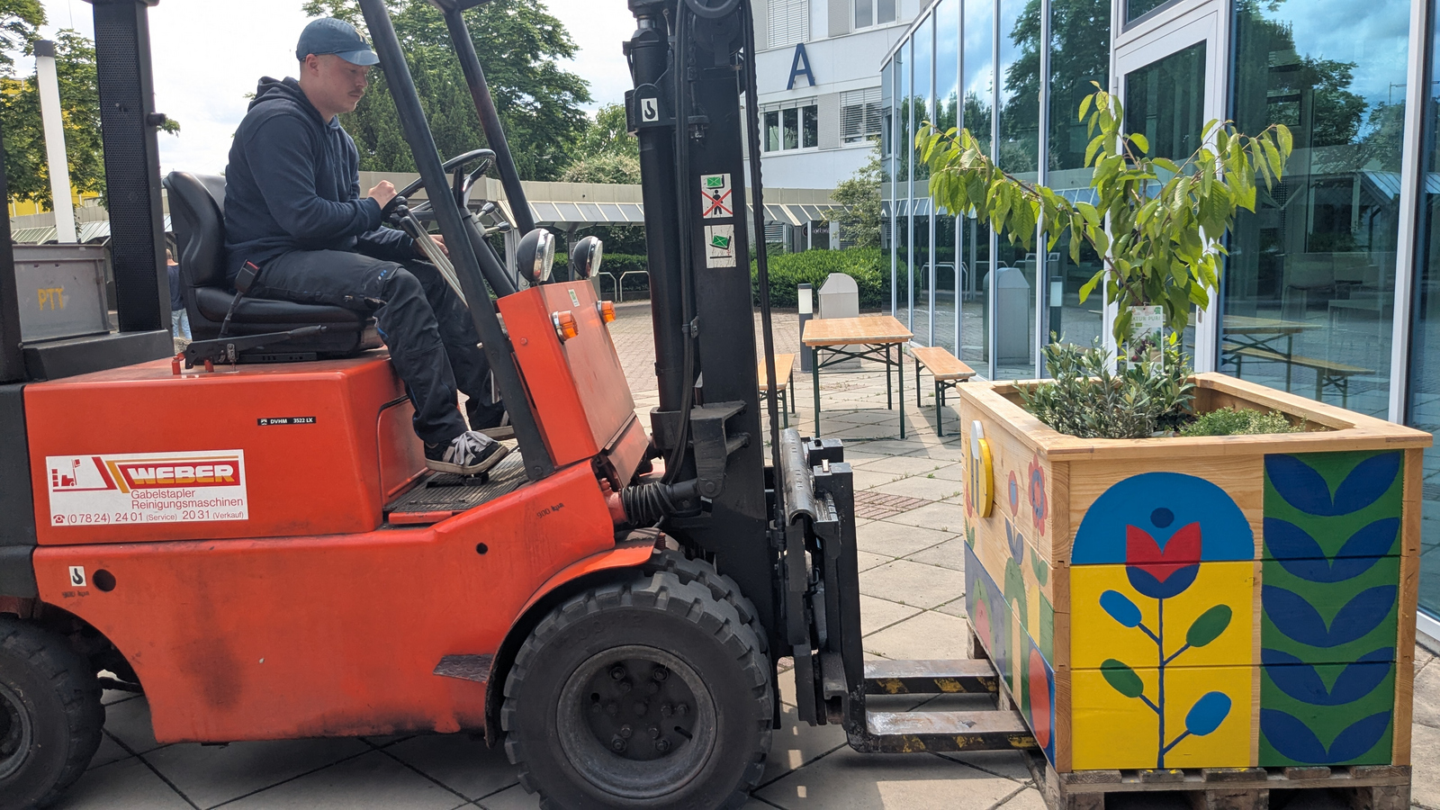 Ein Mann im GAbelstapler transportiert ein Hochbeet an seinen endgültigen Standort