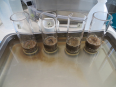 Herstellung Pflanzenkohle; Biomasse-Labor