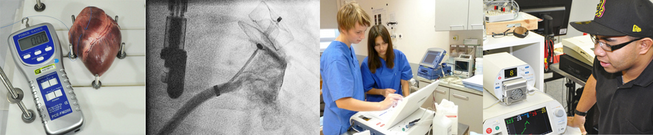 Elektrostimulation und Ablation