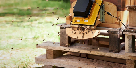 Abbildung 1: Monitoringtechnologie von apic.ai 