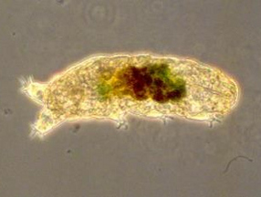 Labor Abwasseraufbereitung