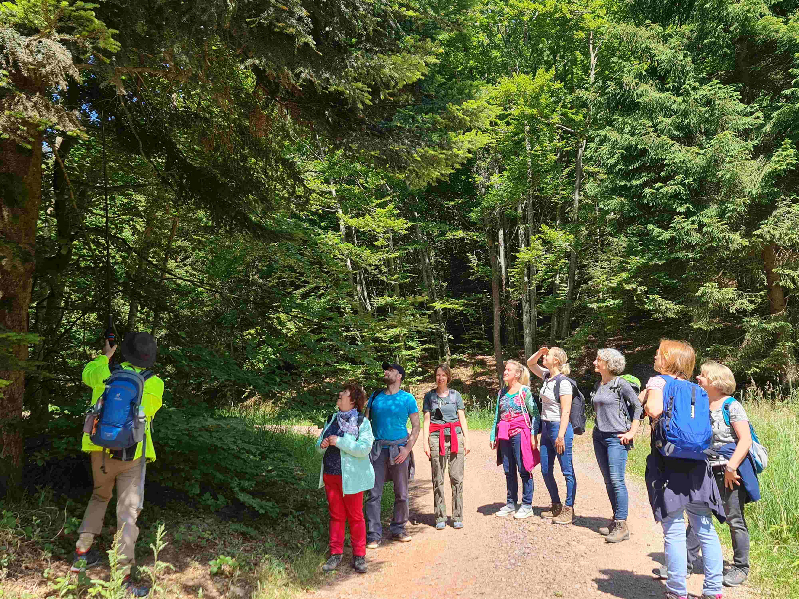Die Geo-Caching-Gruppe steht im Wald unter einem Baum, ein Mann fischt mit einer Angel in der Baumkrone