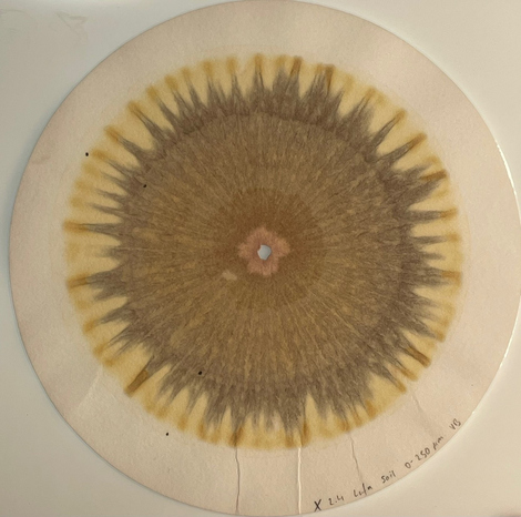 Close-up-Bild Humusaufbau im Projekt HUMAX