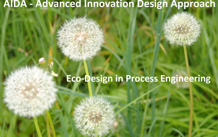 Wiese mit verblühtem Löwenzahn und AIDA-Schriftzug