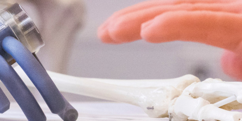 angewandte Biomechanik (auslaufend)