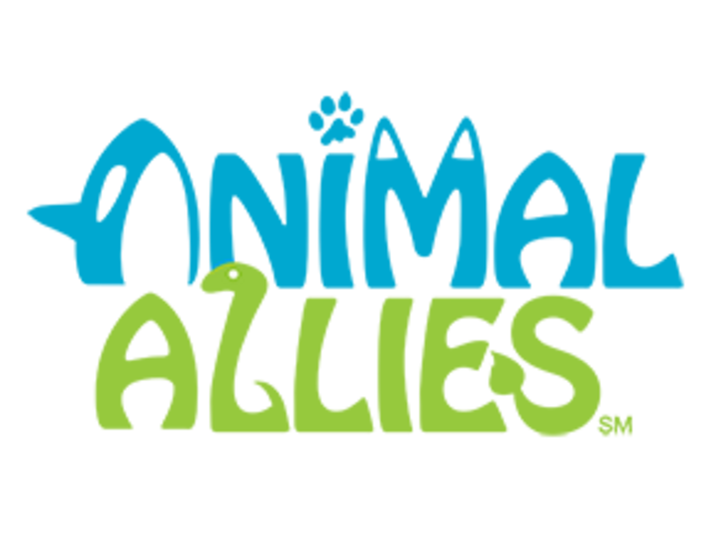 Regionalwettbewerb Ortenau und Semifinale Südwest 2016/17