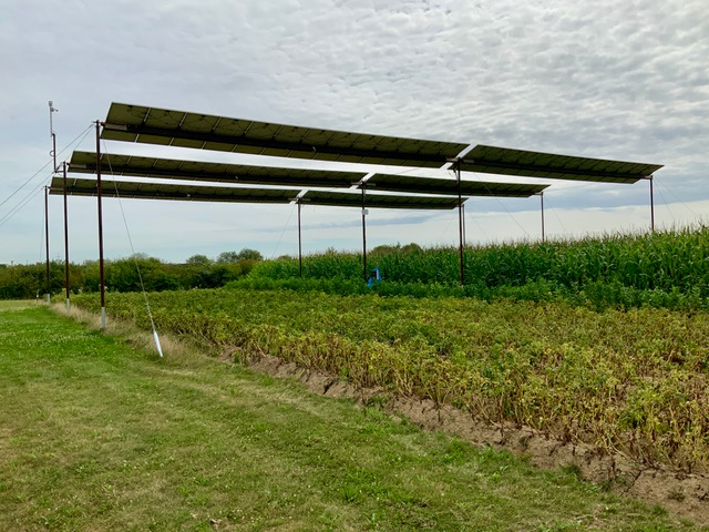 Photovoltaik auf Stelzen über Ackerfeld