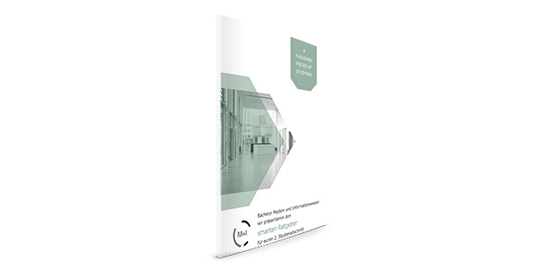 Hauptstudiumplaner MI